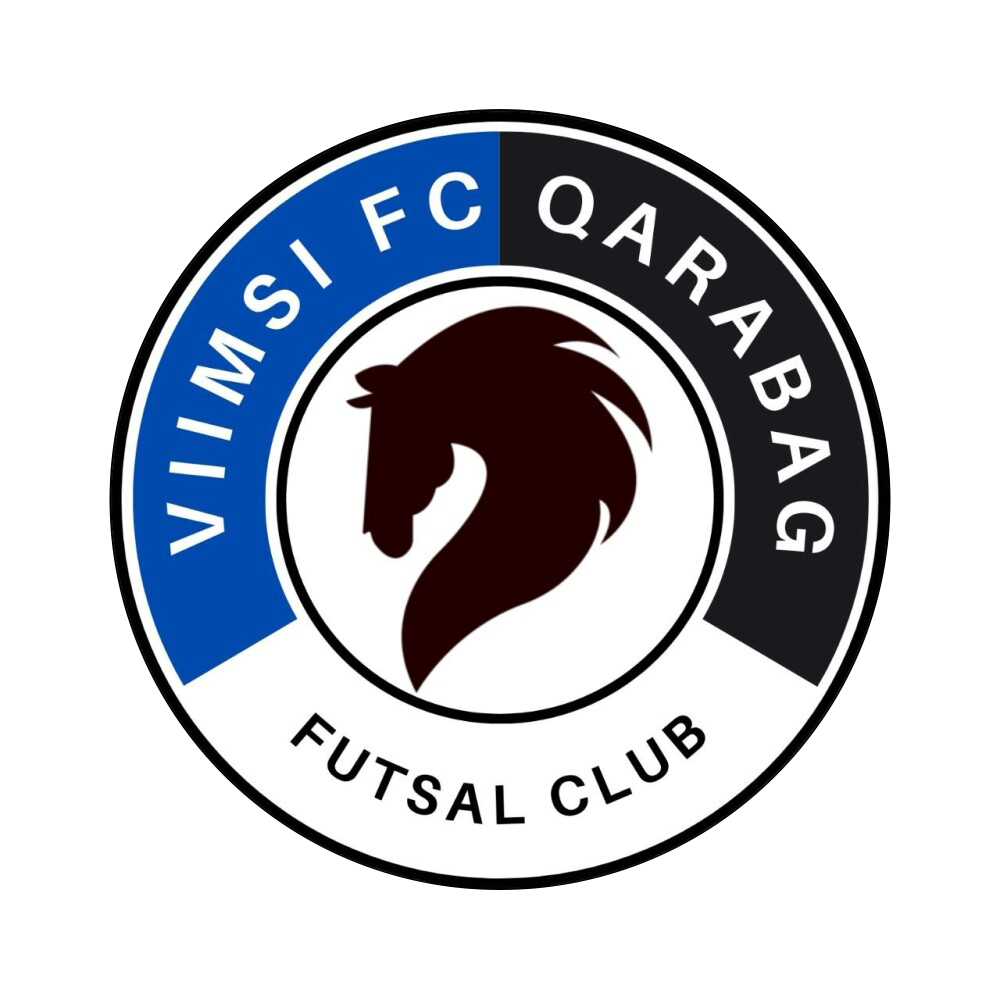S. Viimsi FC Qarabag